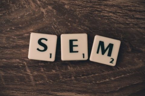 How SEM will help you?